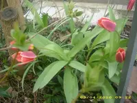 JD800005.webp