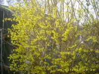 JD800007.webp
