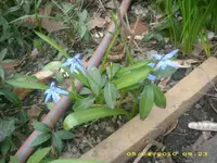 JD800008.webp