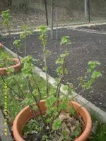 JD800010.webp