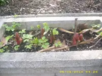JD800012.webp