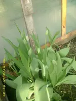 JD800014.webp