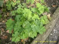 JD800017.webp