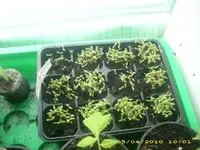 JD800034.webp