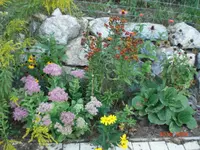 CIMG1802.webp