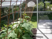 Urlaub von 14.06. bis 05.07.09 019.webp