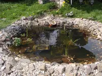 Teichnah01175.webp