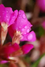 DSC_4689.webp