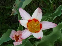 P1010388.webp
