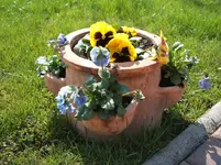 Garten 005.webp