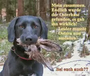 Ostern_faellt_aus TH..webp