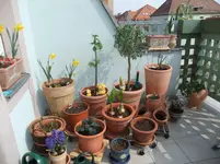 DSCF0597.webp