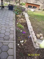 100_2334.webp