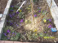 100_2339.webp
