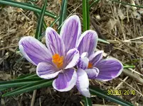 100_2340.webp