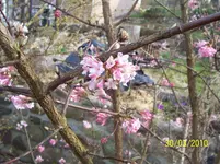 100_2342.webp