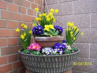100_2345.webp