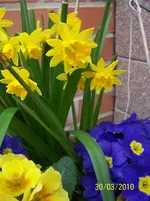 100_2346.webp