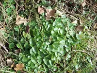 100_1078_800x600.webp