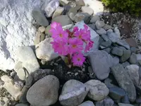 06.04.2010 011.webp