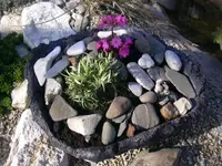 06.04.2010 012.webp