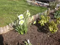 06.04.2010 023.webp
