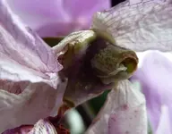 P1030243.webp