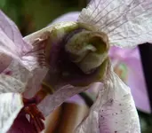 P1030244.webp