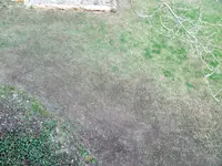 P1020563.webp
