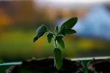 IMGP0004.webp