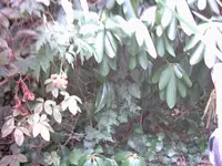 28_06_03 Yakomu_neu 039.webp