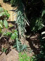 100_2196.webp