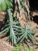 100_2197.webp
