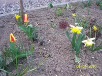 100_2351.webp