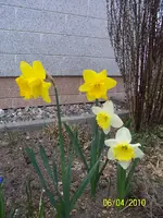 100_2349.webp