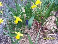 100_2352.webp
