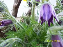 100_2350.webp