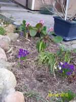 100_2356.webp
