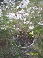 100_2358.webp