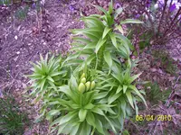 100_2361.webp