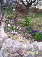 100_2363.webp