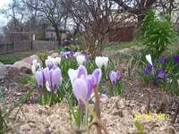 100_2364.webp