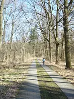 Wald.webp