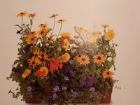 P1010431.webp