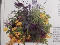 P1010432.webp