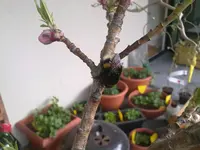 05042010073.webp