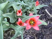 07.04.2010 002.webp