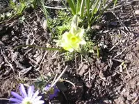 07.04.2010 014.webp
