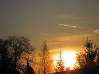 IMG_0646.webp