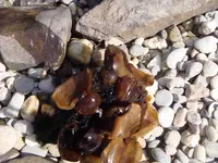 Dsc02159.webp